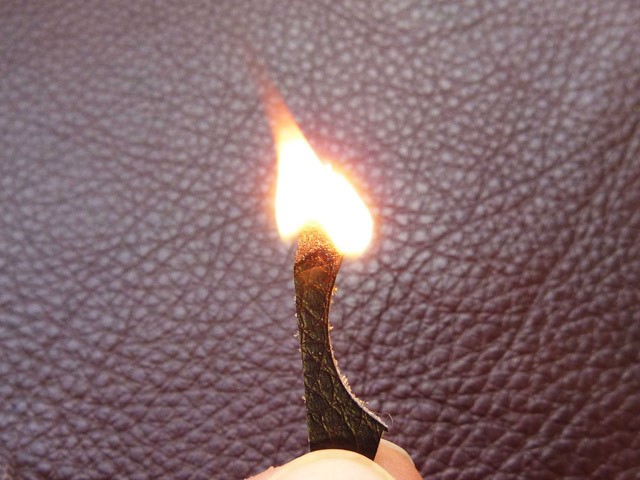 Leather burn test